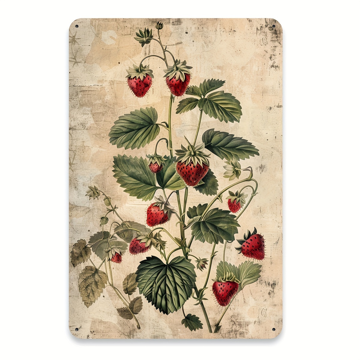 Vintage Collectible Tins - 1 stuk, vintage fruitcollectie metalen blikken