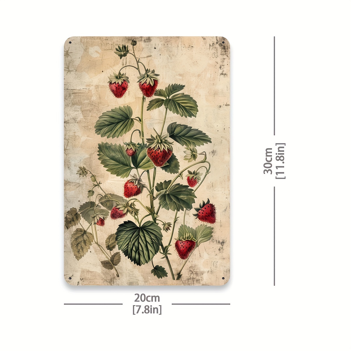 1 stuk, vintage fruitcollectie - Vintage Collectible Tins recensie en prijs